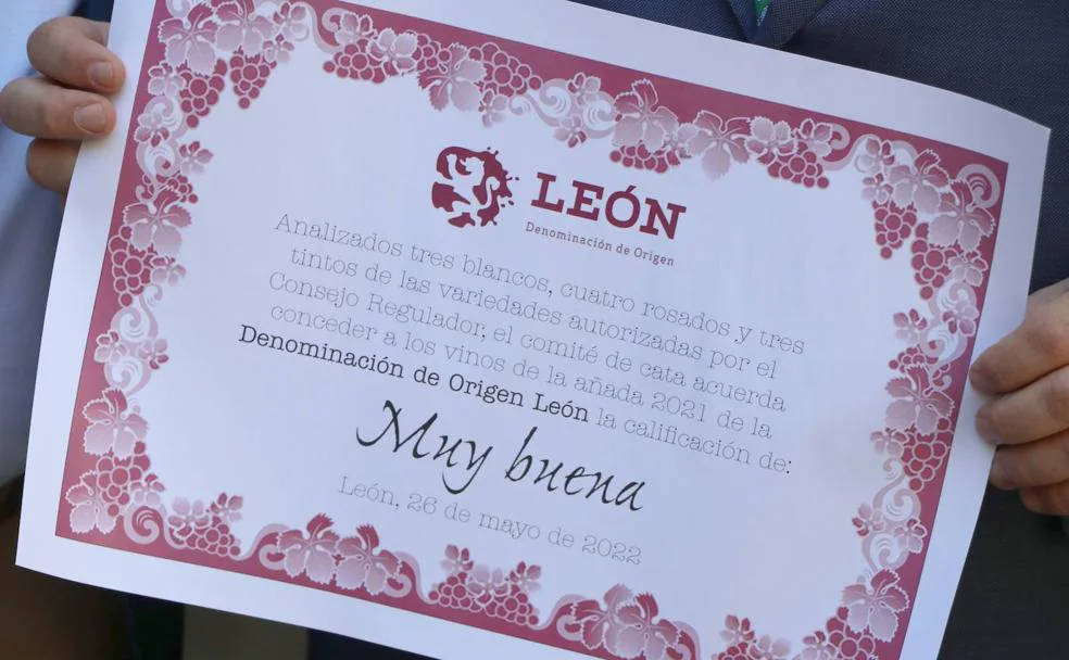 Imagen de la calificación de la añada 2021 de los vinos de la DO León. 