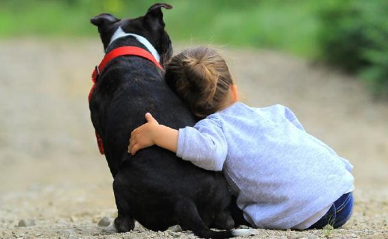 El Ayuntamiento de Ponferrada anima a sus vecinos a adoptar en el Día de los perros sin raza