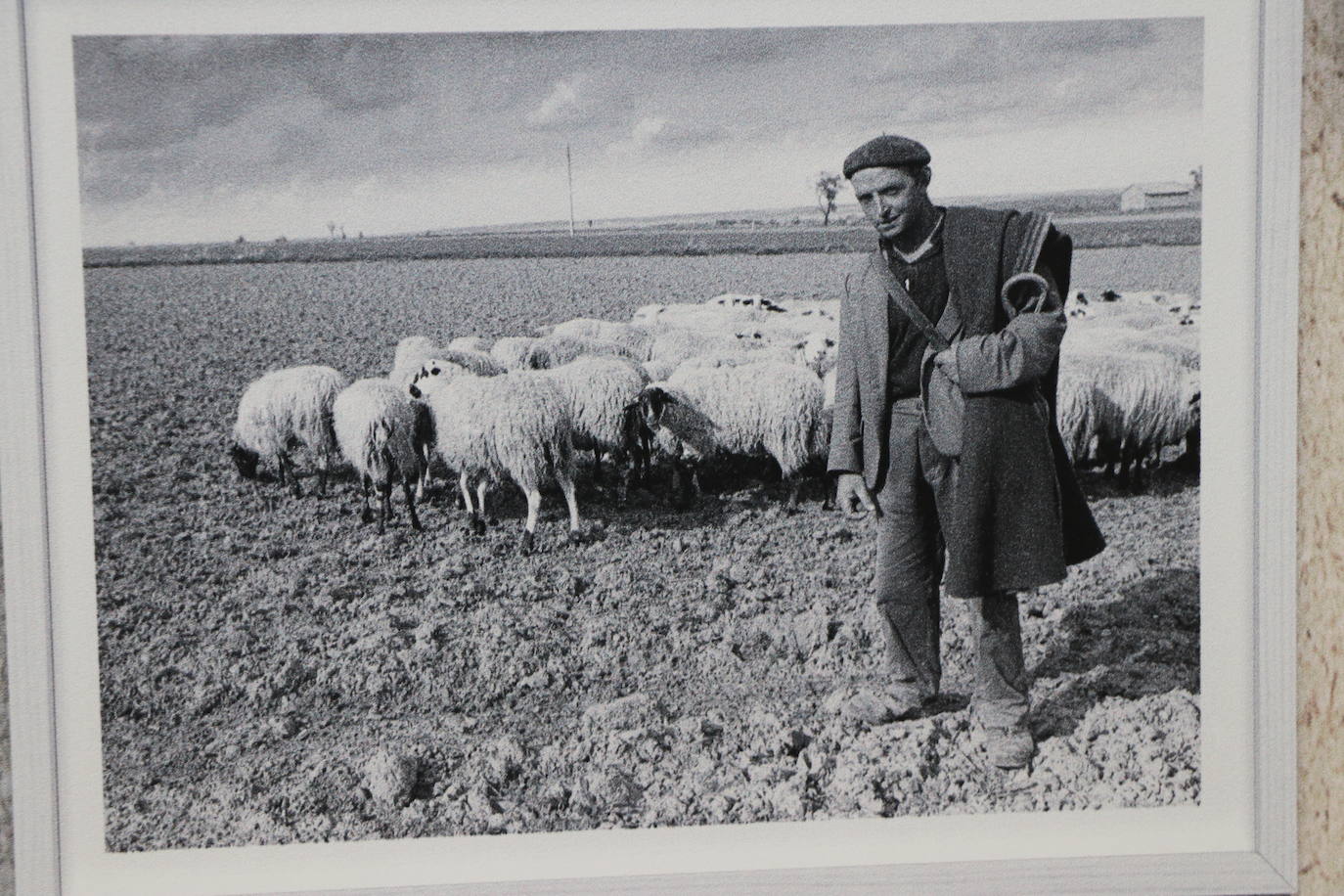 Imágenes de la exposición fotográfica del XV Congreso Nacional de Regantes. 