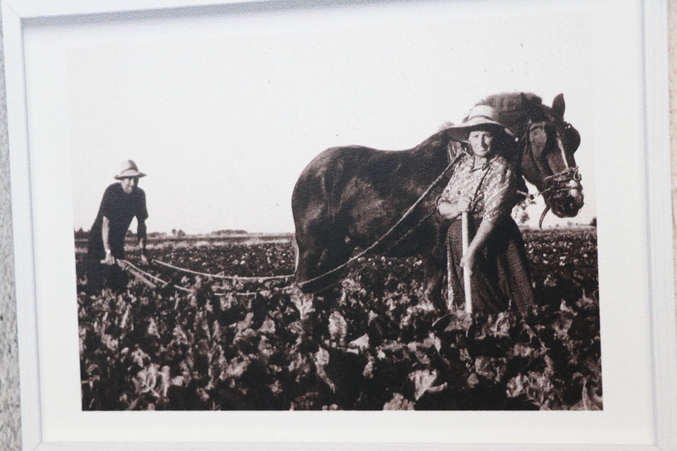 Imágenes de la exposición fotográfica del XV Congreso Nacional de Regantes. 