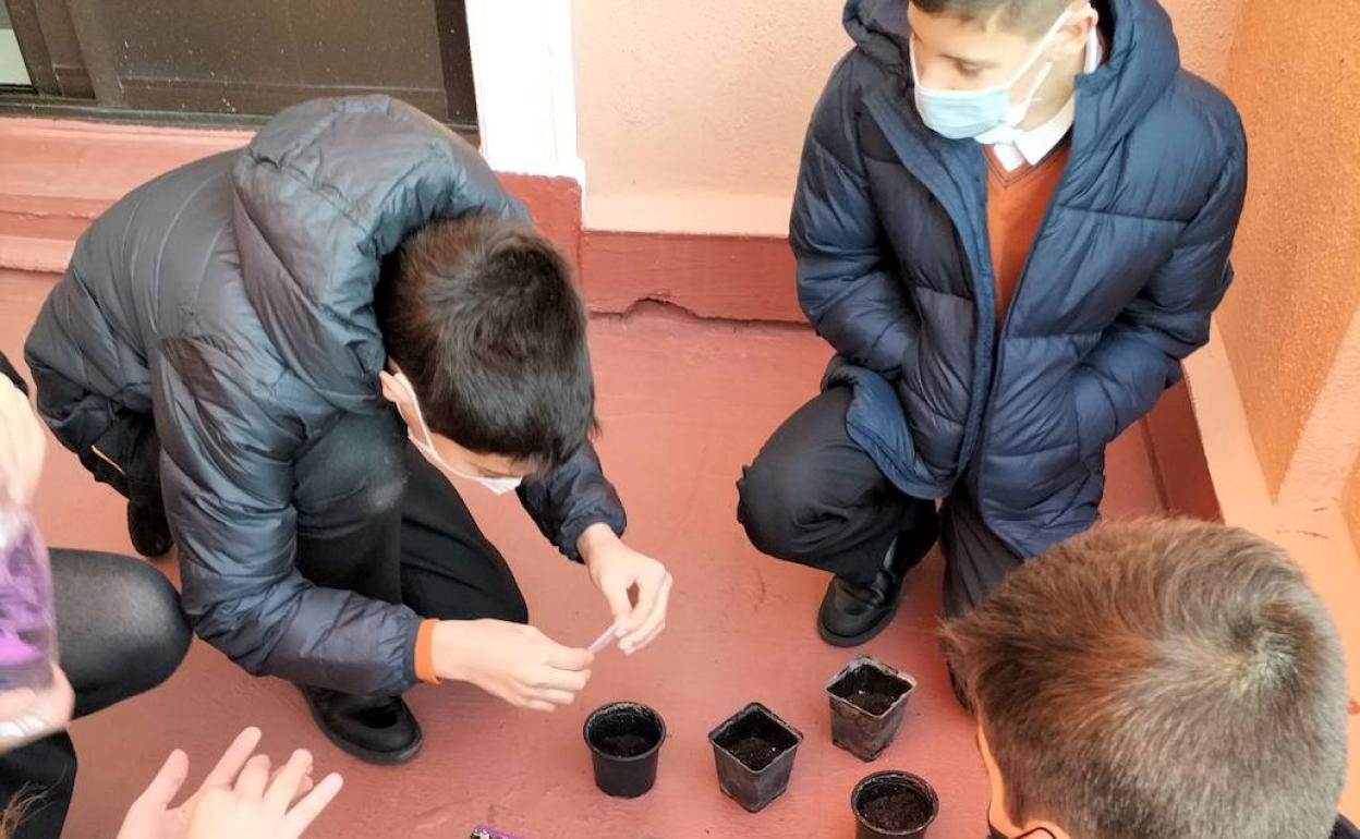 Huerto escolar en el Colegio Divina Pastora.