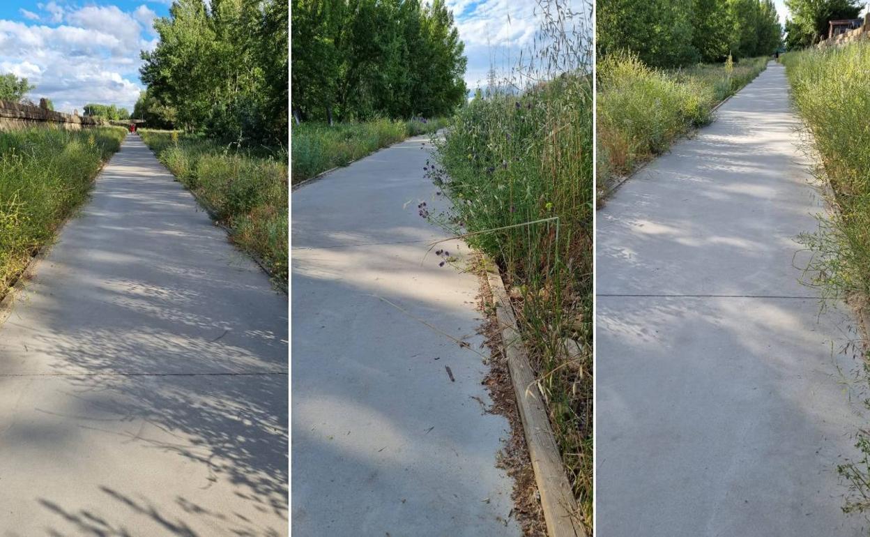 Estado del carril bici en la zona del Hispánico. 