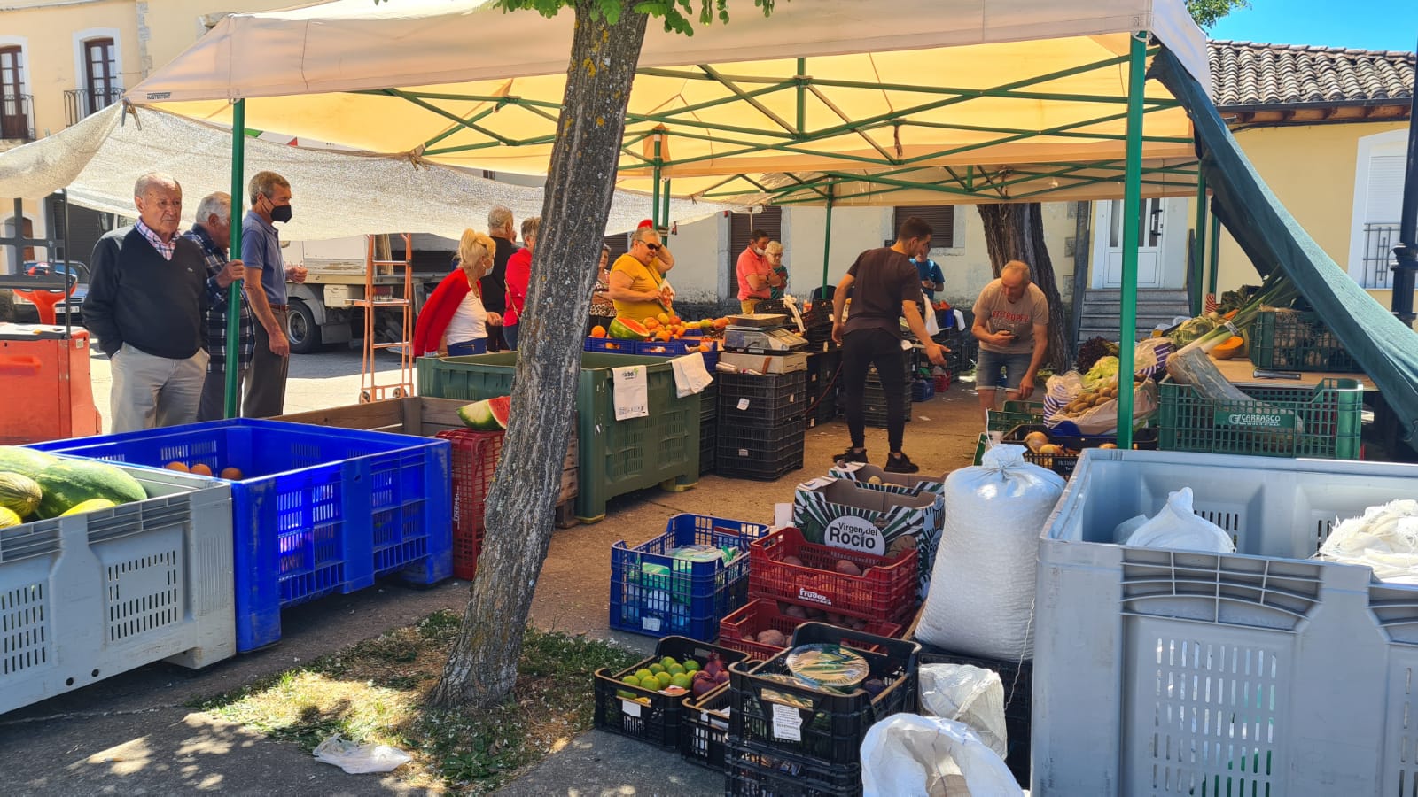 Fotos: El mercado de los jueves de Riello