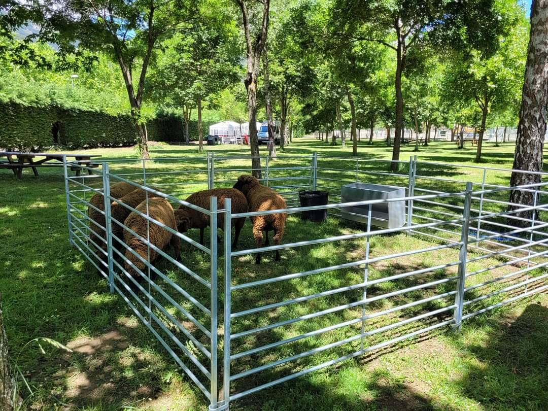 Boñar muestra lo mejor de la montaña leonesa en la 'IV Feria de la Montaña'. La Feria de la Montaña Leonesa vive su puesta de largo en una edición con tresjornadas y El Soto de Boñar como escenario. Los visitantes podrán disfrutar de una veintena de actividades y 17 expositores. 