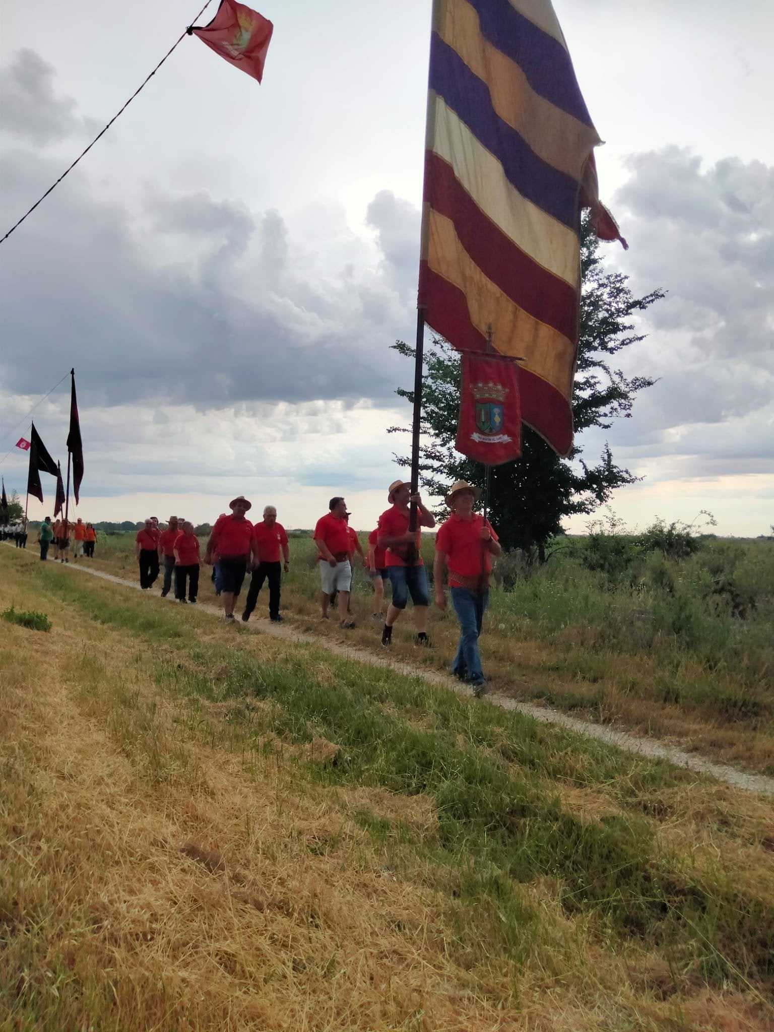 La iniciativa 'Pendones concejiles en los Caminos de Santiago del viejo Reino de León' 