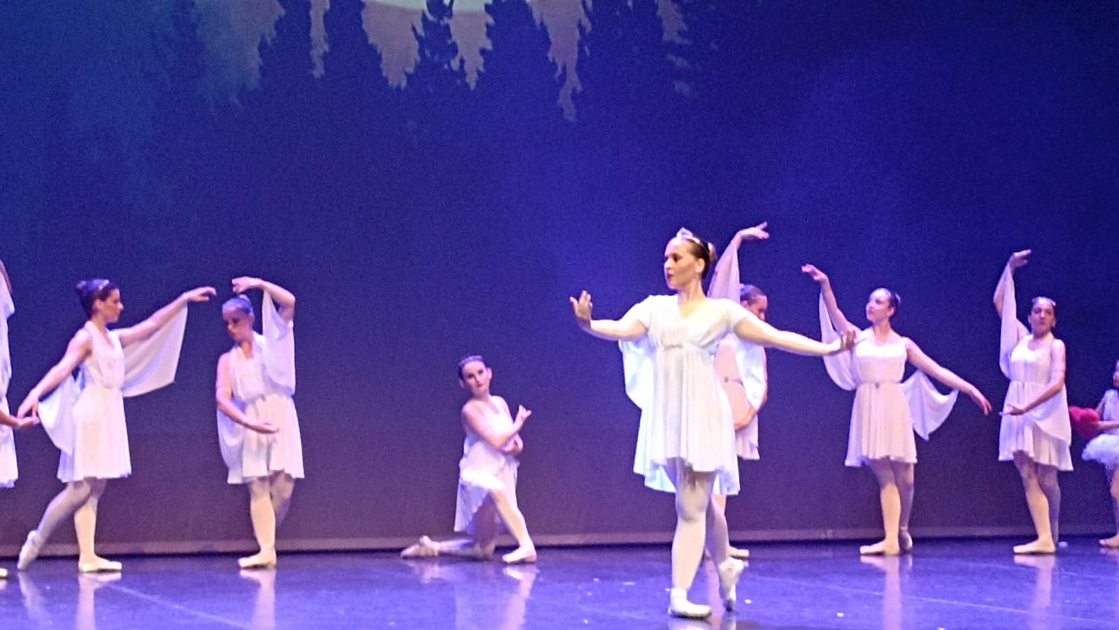 La danza se entremezcla con las 'Fantasías de Don Quijote' en el Auditorio. El Área de Danza de la Escuela Municipal de Música, Danza y Artes Escénicas del Ayuntamiento de León celebra con gran éxito su tradicional fiesta anual.