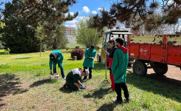 Imagen principal - Balance positivo en las prácticas de los alumnos del IES Juan del Enzina en la Escuela de Agrícolas