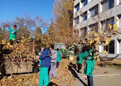 Imagen secundaria 1 - Balance positivo en las prácticas de los alumnos del IES Juan del Enzina en la Escuela de Agrícolas