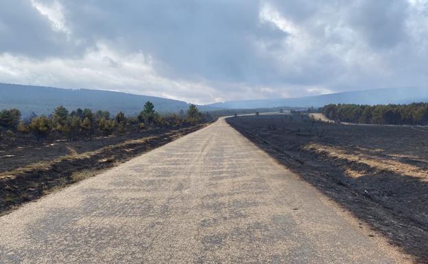 Galería. Estado desolador que presenta la zona devastada por el incendio.