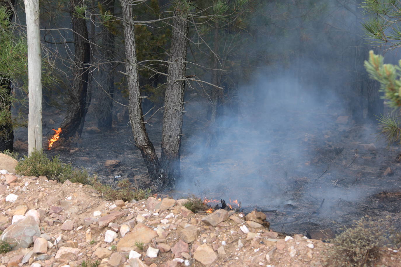 Fotos: El paisaje que deja el incendio de la Sierra de la Culebra