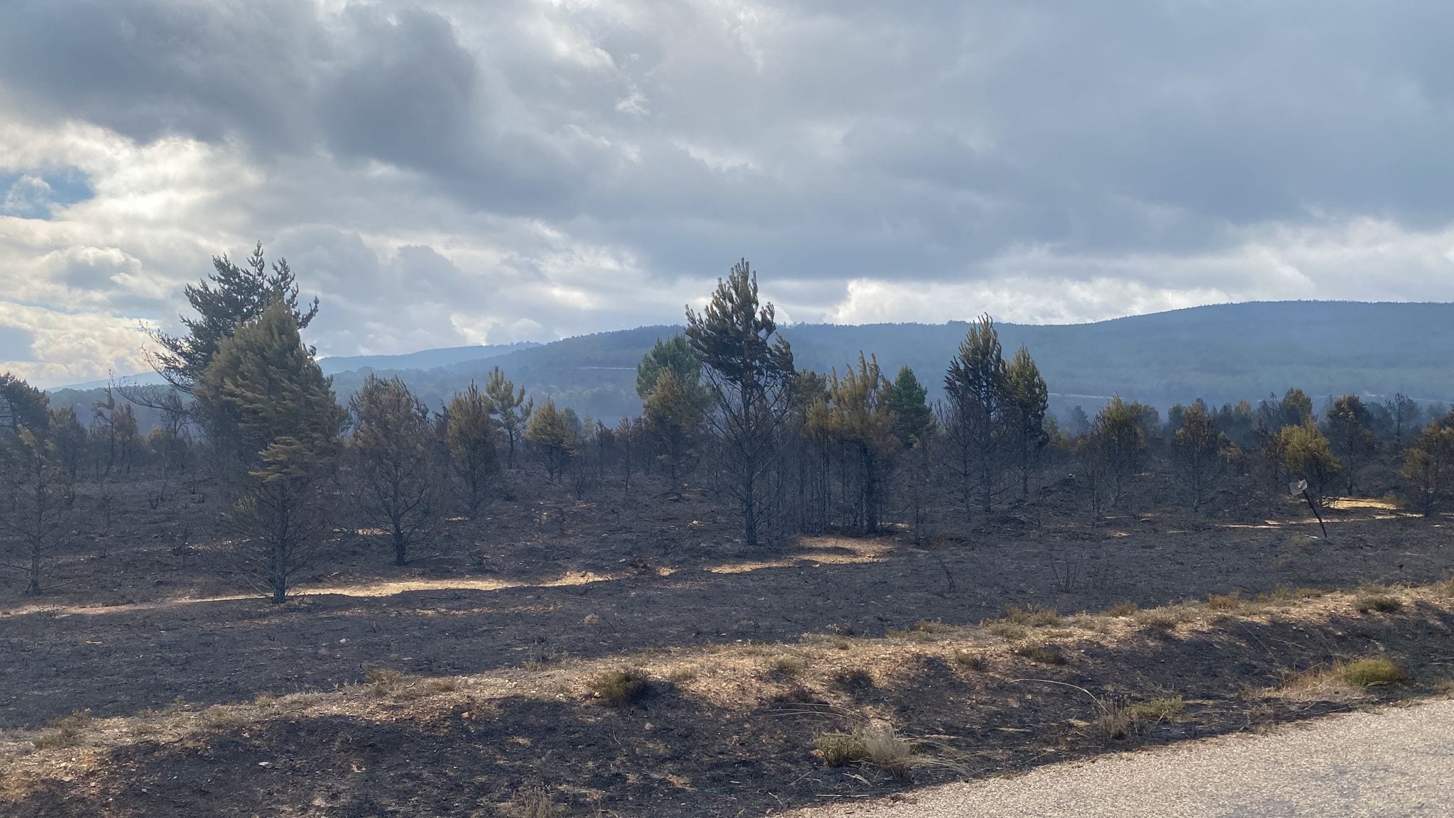 Fotos: El paisaje que deja el incendio de la Sierra de la Culebra