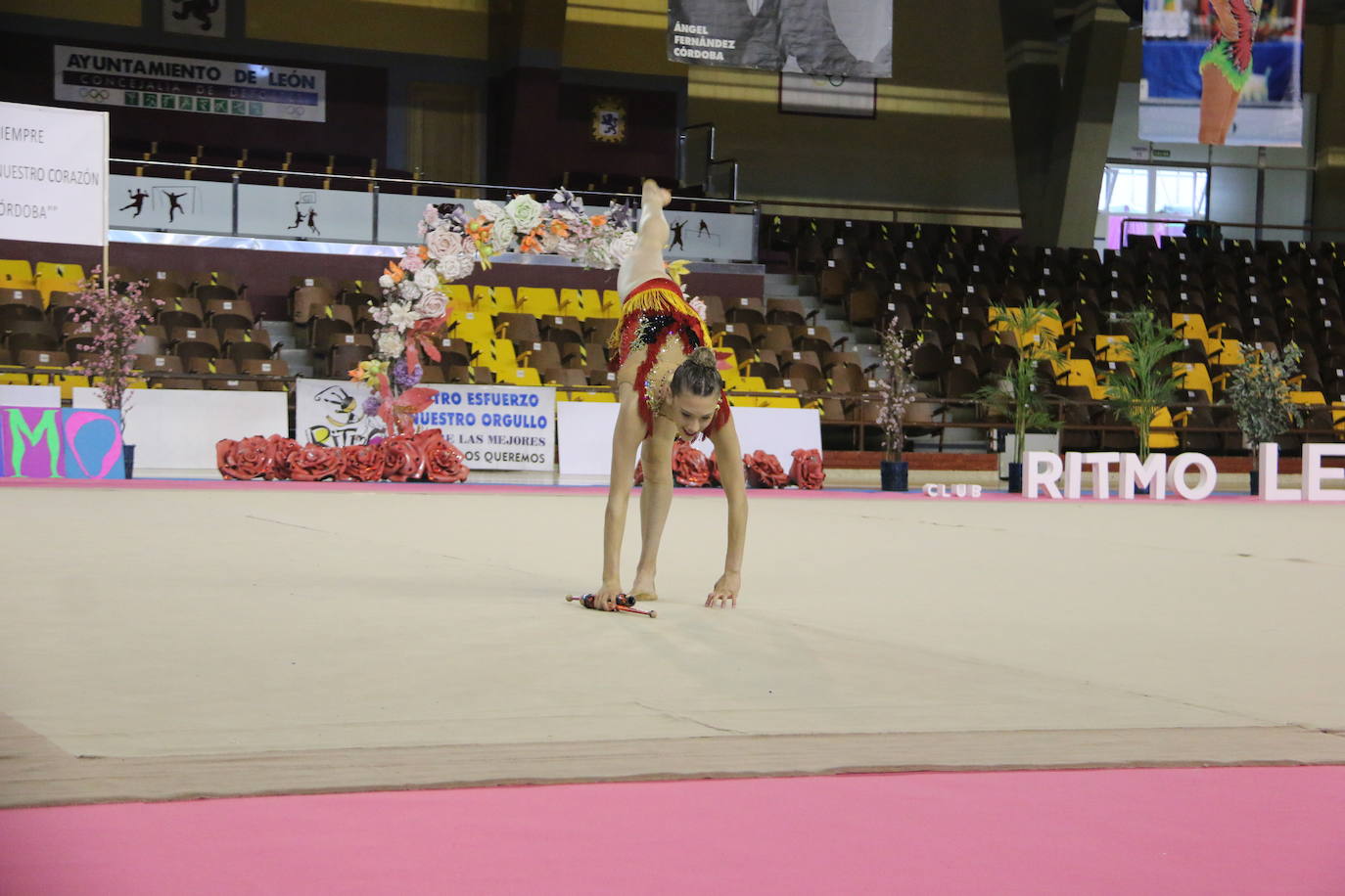 En torno a 150 gimnastas del club leonés se dan cita en el evento con el que se cierra el curso en el Palacio de los Deportes de León con exhibiciones y distintos ejercicios