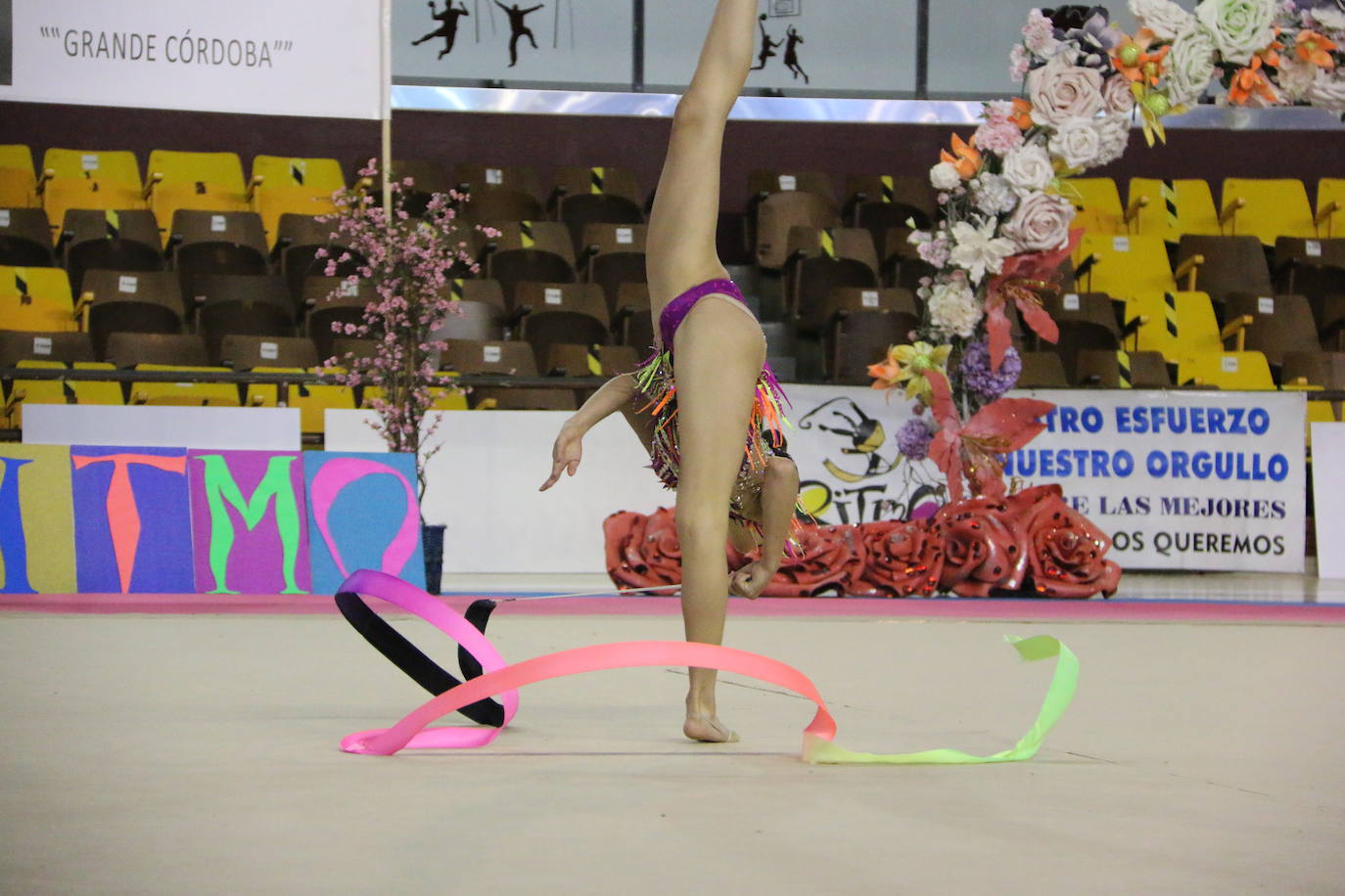 En torno a 150 gimnastas del club leonés se dan cita en el evento con el que se cierra el curso en el Palacio de los Deportes de León con exhibiciones y distintos ejercicios