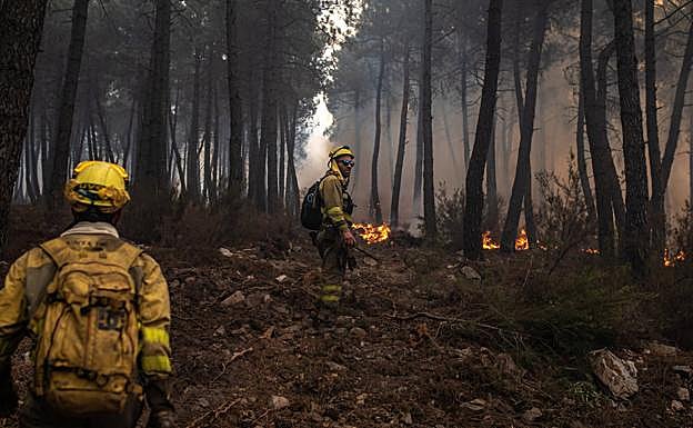 El incendio declarado de la semana pasada en la Sierra de la Culebra es el más grave registrado en la historia en Castilla y León. 