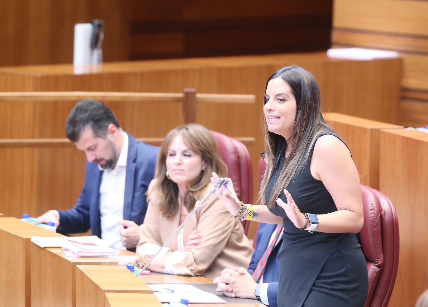 Fotos: Plano de las Cortes de Castilla y León