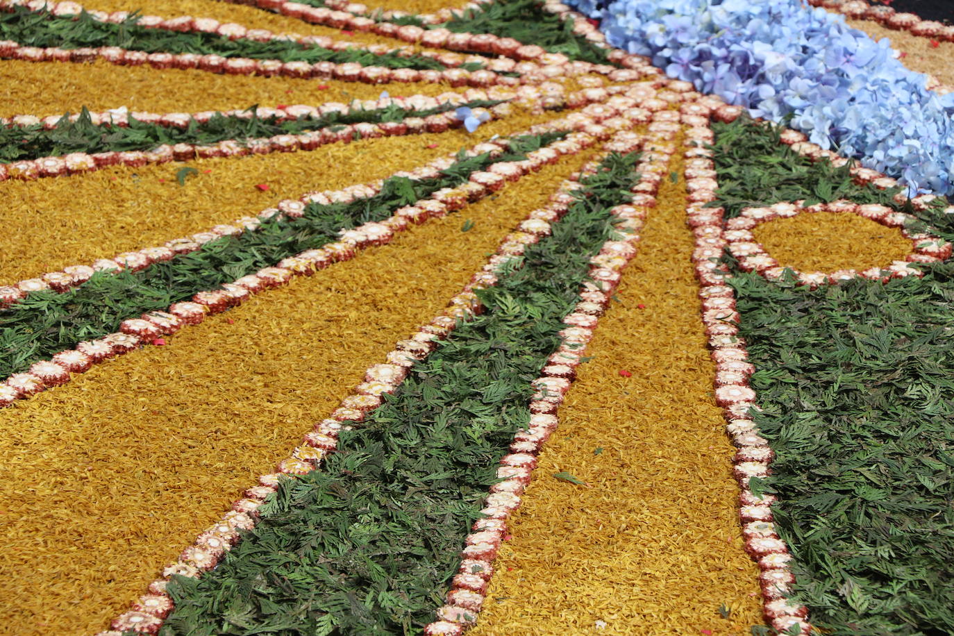 Fotos: Una alfombra floral cubre la plaza de la catedral de León