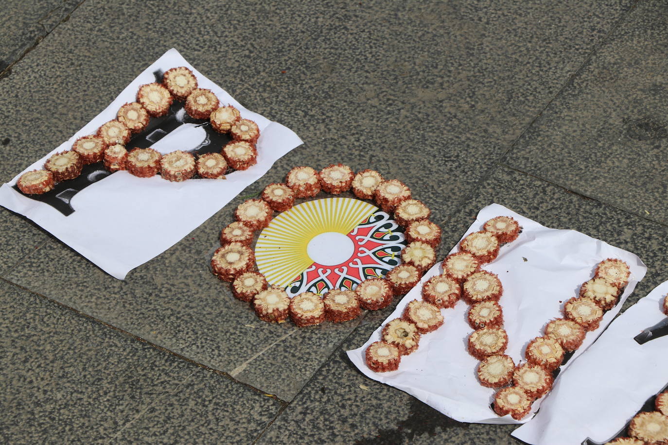 Fotos: Una alfombra floral cubre la plaza de la catedral de León