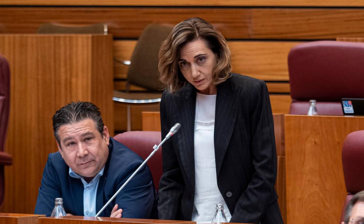 Alicia Gallego, en las Cortes de Castilla y León. 