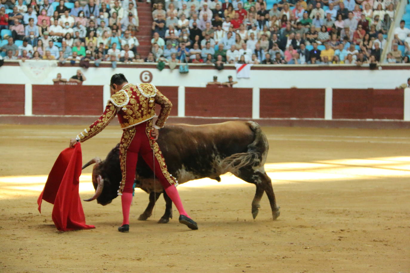 Manzanares durante un lance de la corrida