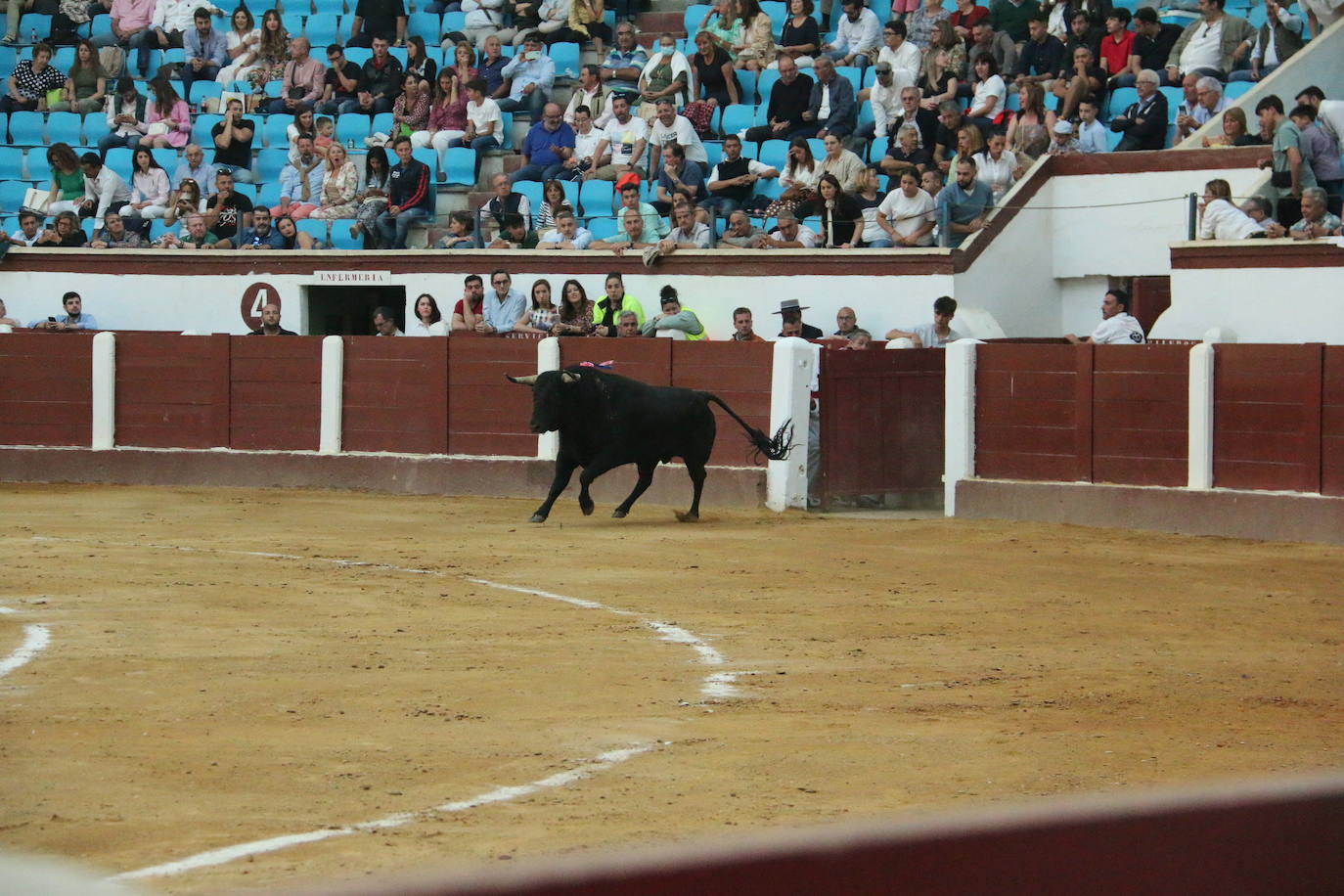 Manzanares durante un lance de la corrida