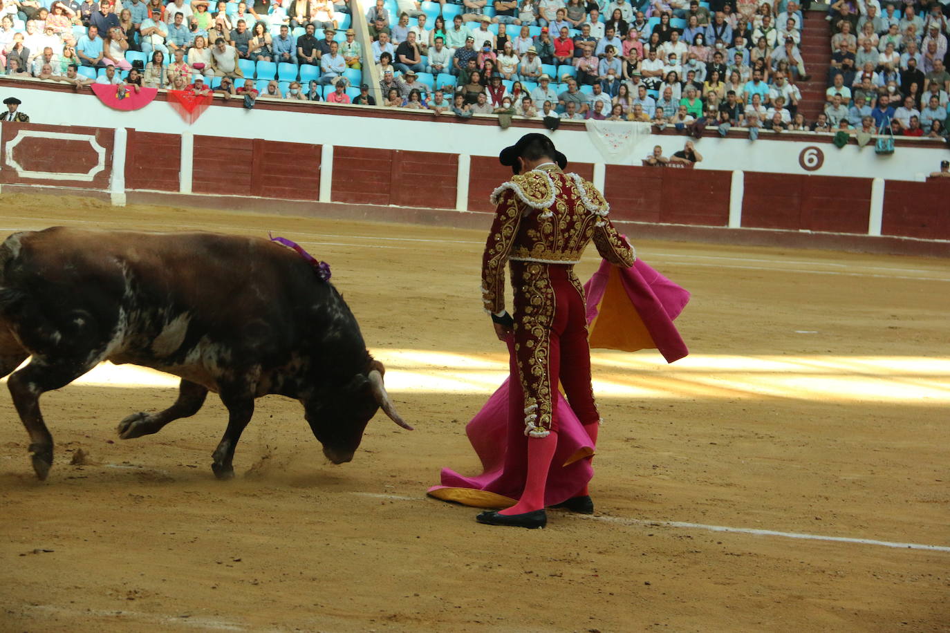 Manzanares durante un lance de la corrida