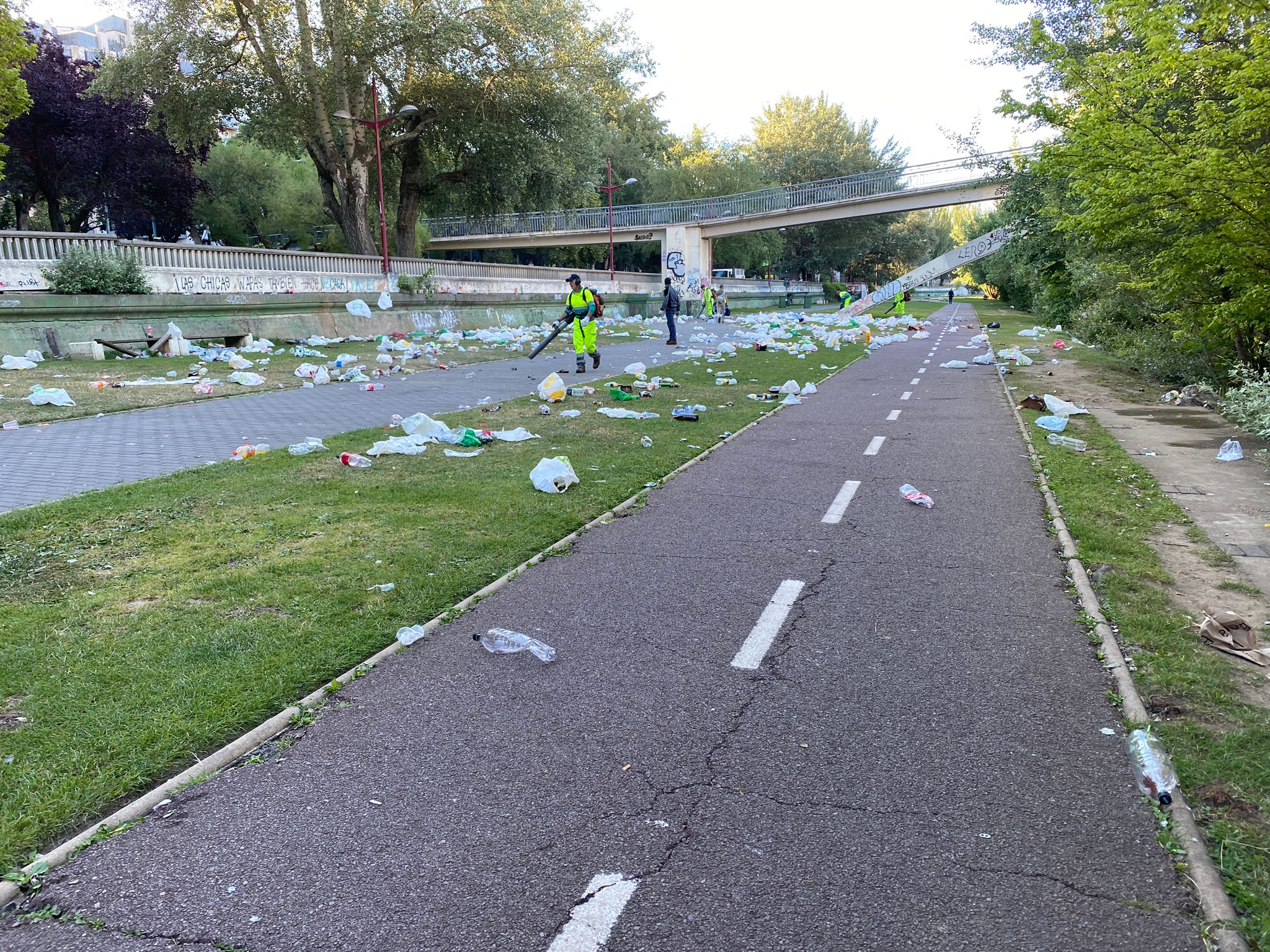 San Pedro se cita con el botellón a orillas del Bernesga. Las brigadas del Servicio de Jardines del Ayuntamiento de León recoge kilos de basura que los más jóvenes dejaron durante la pasada noche en una nueva fiesta en la ribera del río.