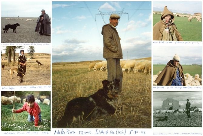 El Auditorio Municipal 'Carmelo Gómez', en Sahagún, acoge a partir del próximo viernes, ocho de julio, la exposición fotográfica 'Mis Pastores'. Cerca de medio centenar de instantáneas que recorren la historia local del pastoreo bajo la mirada del periodista de Villeza, Juan Daniel Rodríguez. 