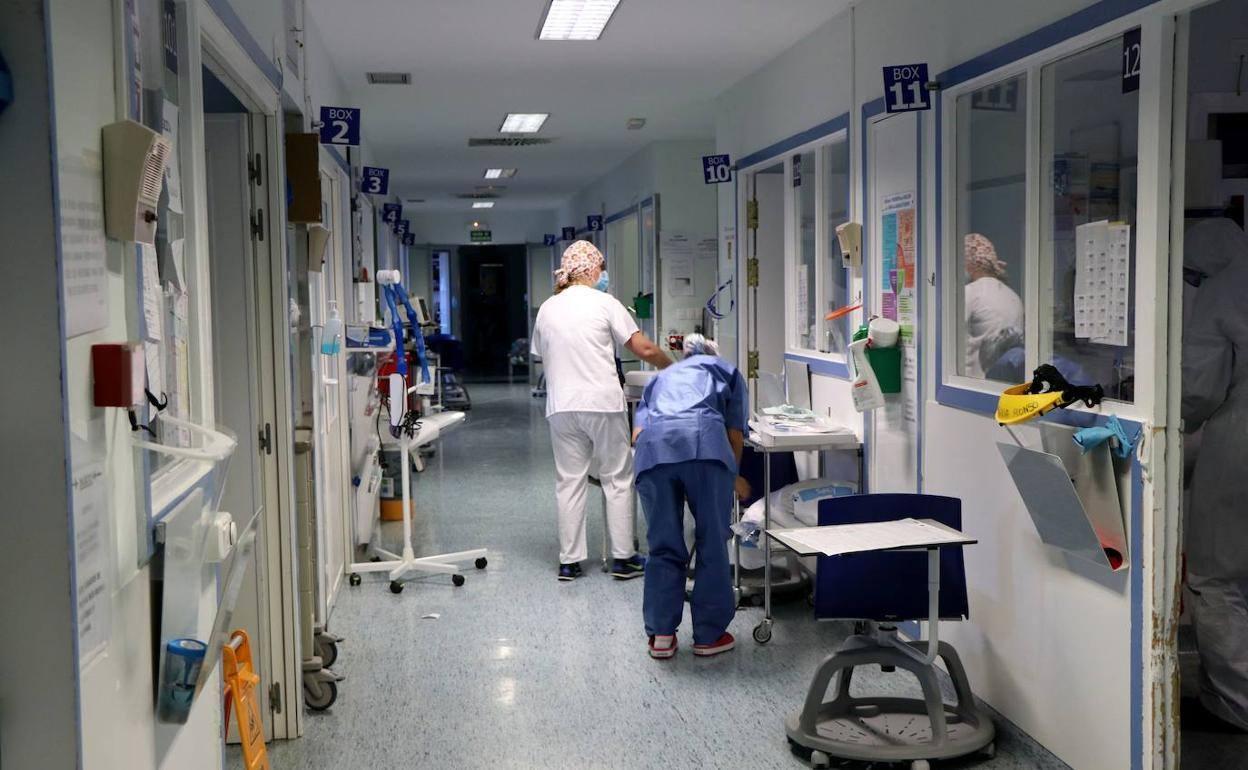 Sanitarios en uno de los pasillos del Hospital de León.