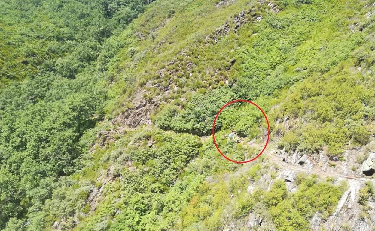 El rescate se producía en los montes de Valdueza.