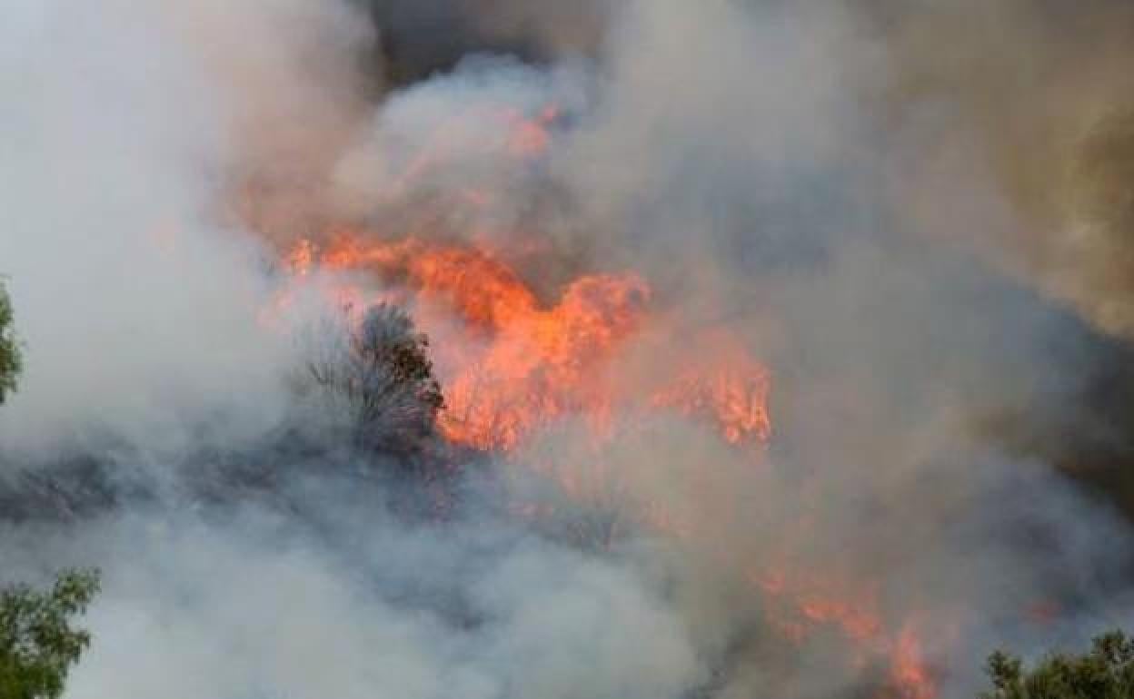 Un pequeño incendio.