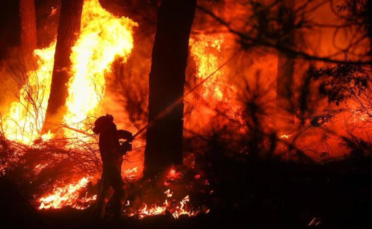 Imagen de archivo de un incendio forestal.