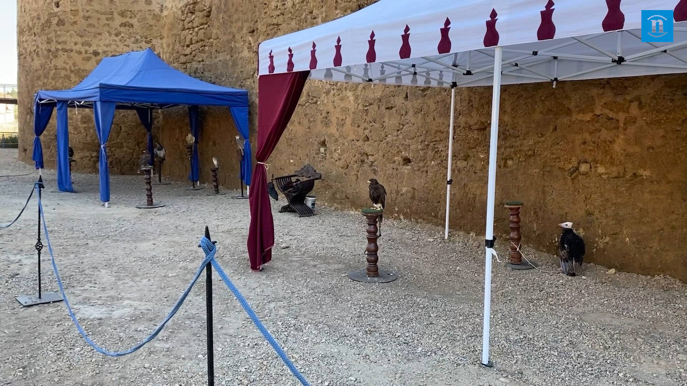 El entorno del Castillo de Coyanza regresa al Medievo con el Mercado Medieval que llena de turistas y puestos la localidad leonesa