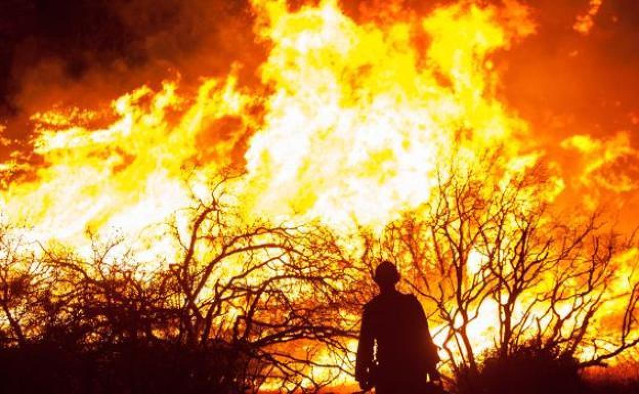 Imagen de archivo de un incendio forestal.