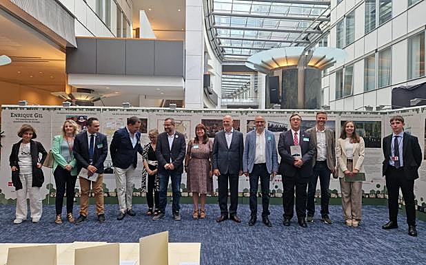 Imagen principal - La obra de Enrique Gil conquista el Parlamento Europeo.