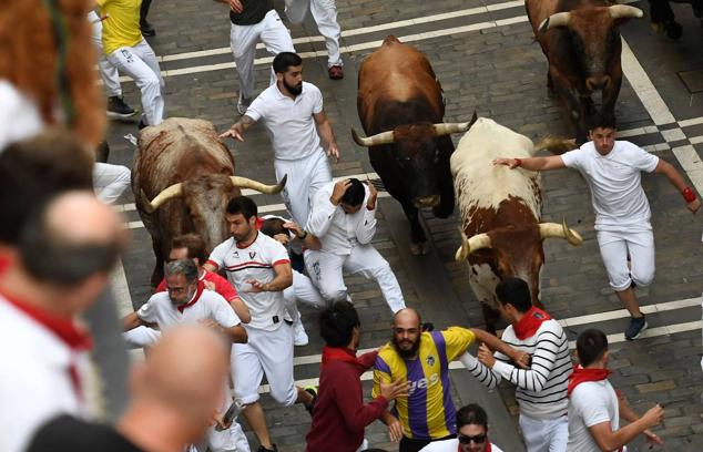 Los mozos, durante el octavo y último encierro de los Sanfermines con toros de la ganadería de Miura.