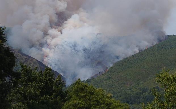El fuego sigue devorando hectáreas en León y muchos incendios permanecen fuera de control, como este de Fuente de Oliva.