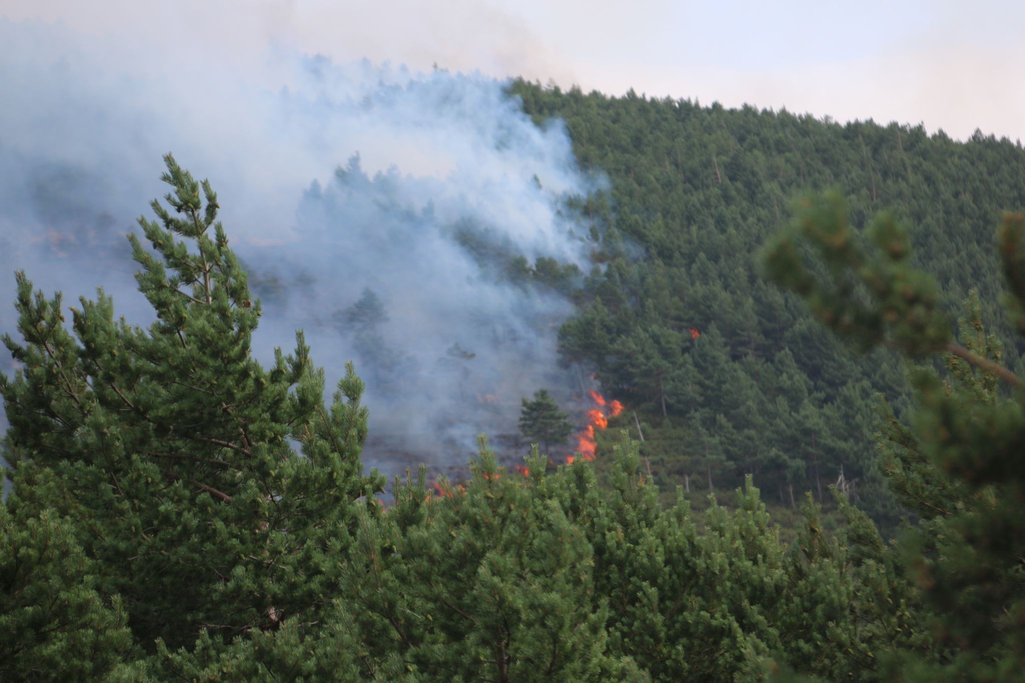 Fotos: Incendio forestal en Montes