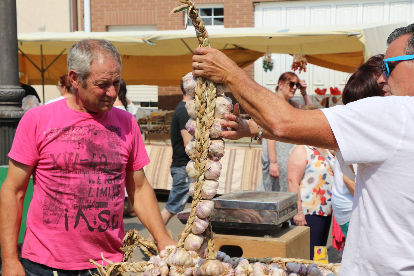 Fotos: Feria del Ajo en Santa Marina del Rey