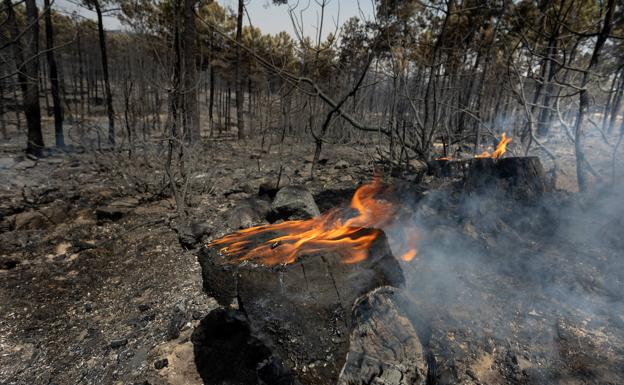 El incendio de nivel 1 de Paradaseca ya se encuentra controlado