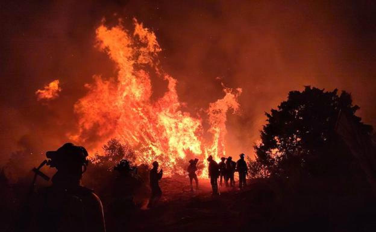 Agricultores y ganaderos piden un Pacto de Estado contra los incendios que cuente con la población rural.