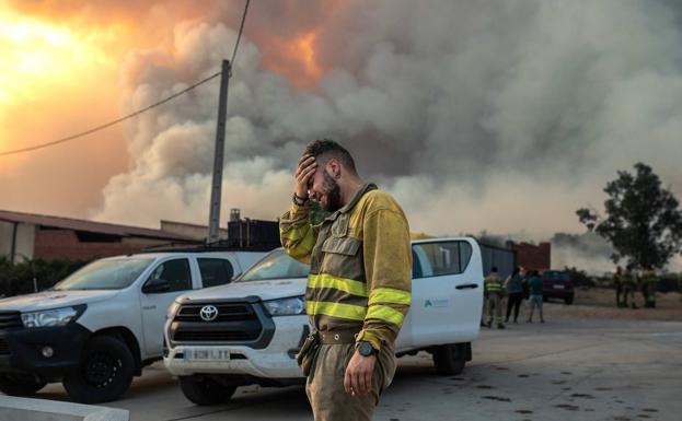 Un bombero llora con impotencia por el avance de las llamas en Losacio.