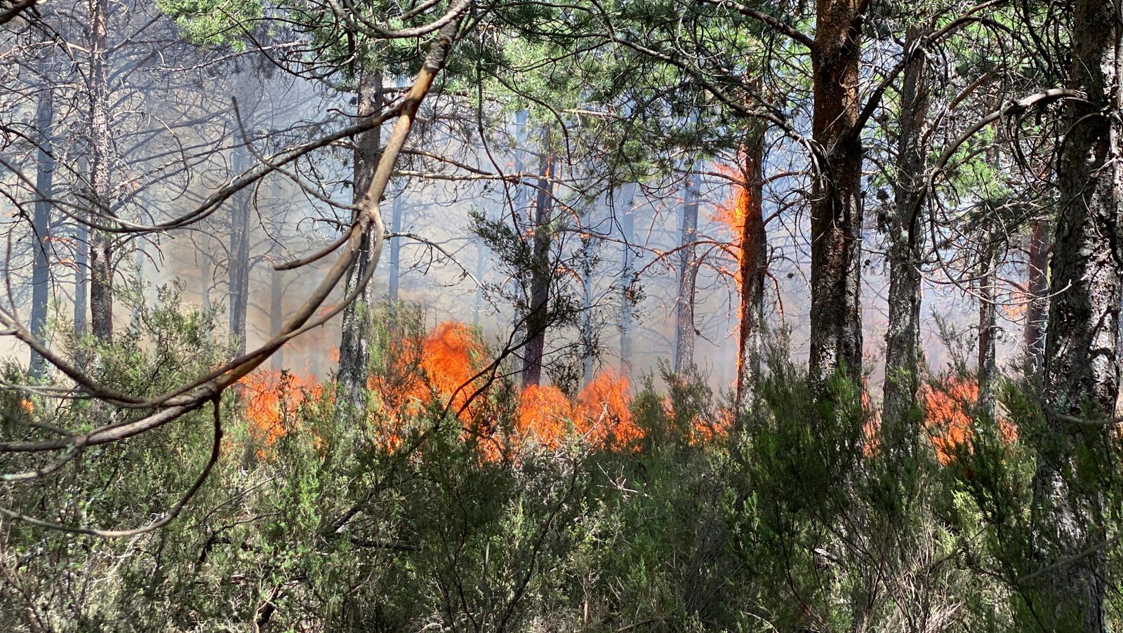 Fotos: Incendio forestal en Montes