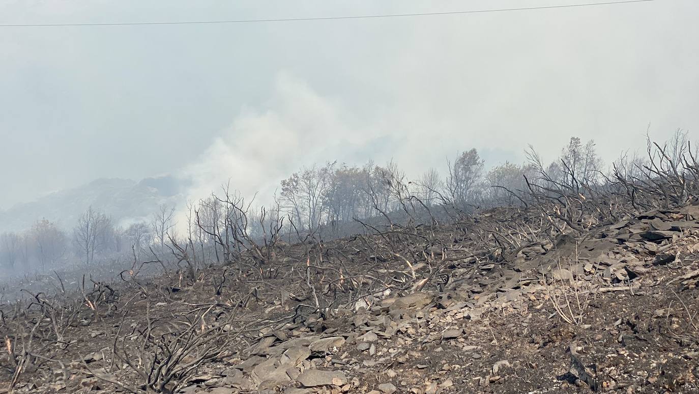 Fotos: Incendio forestal en Montes