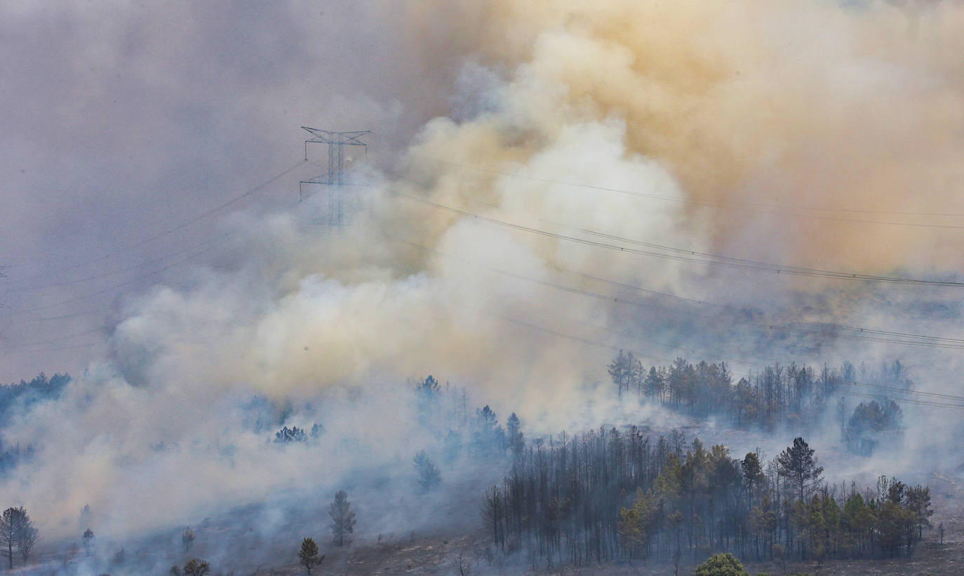 Incendio en la provincia de Zamora