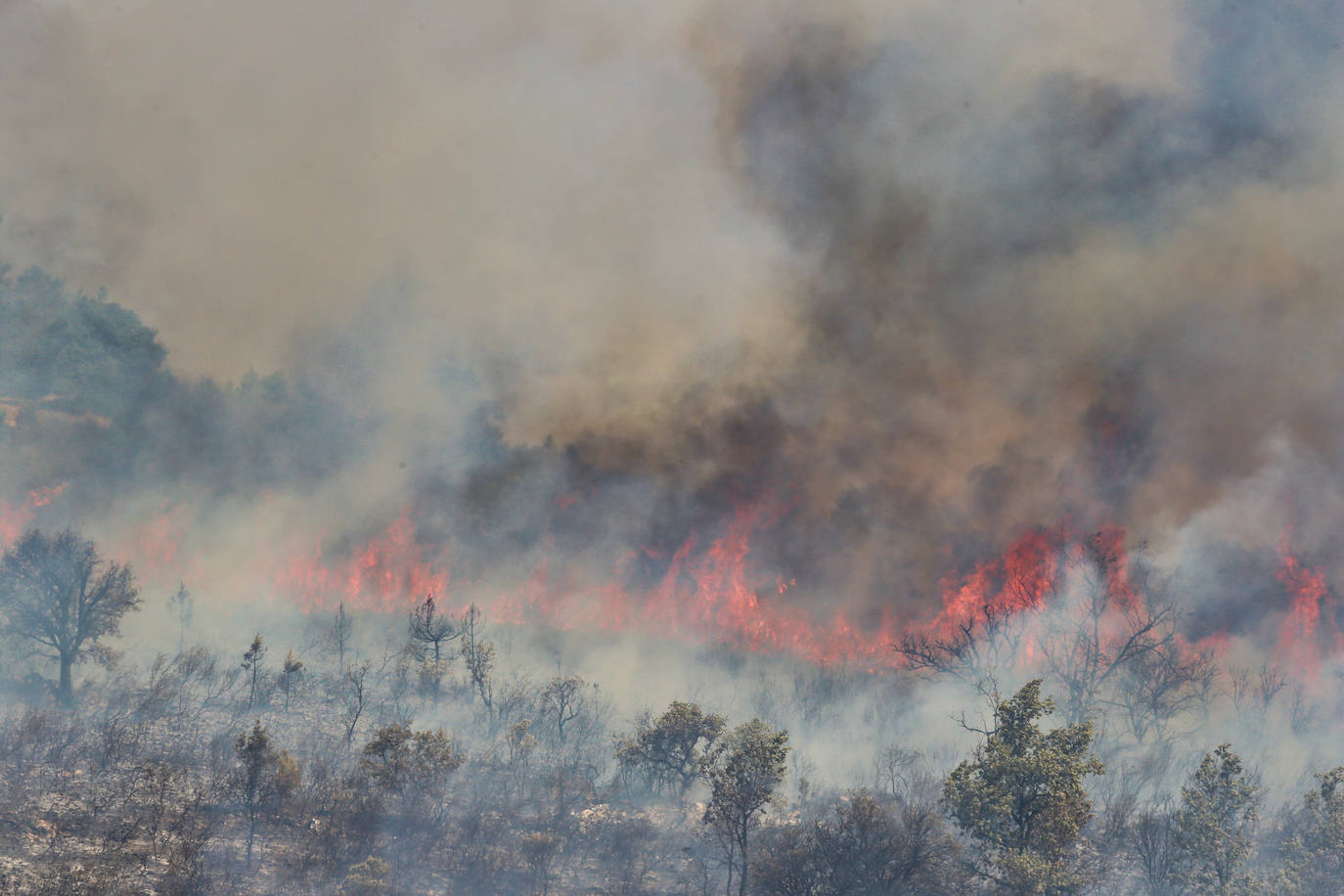 Incendio en la provincia de Zamora