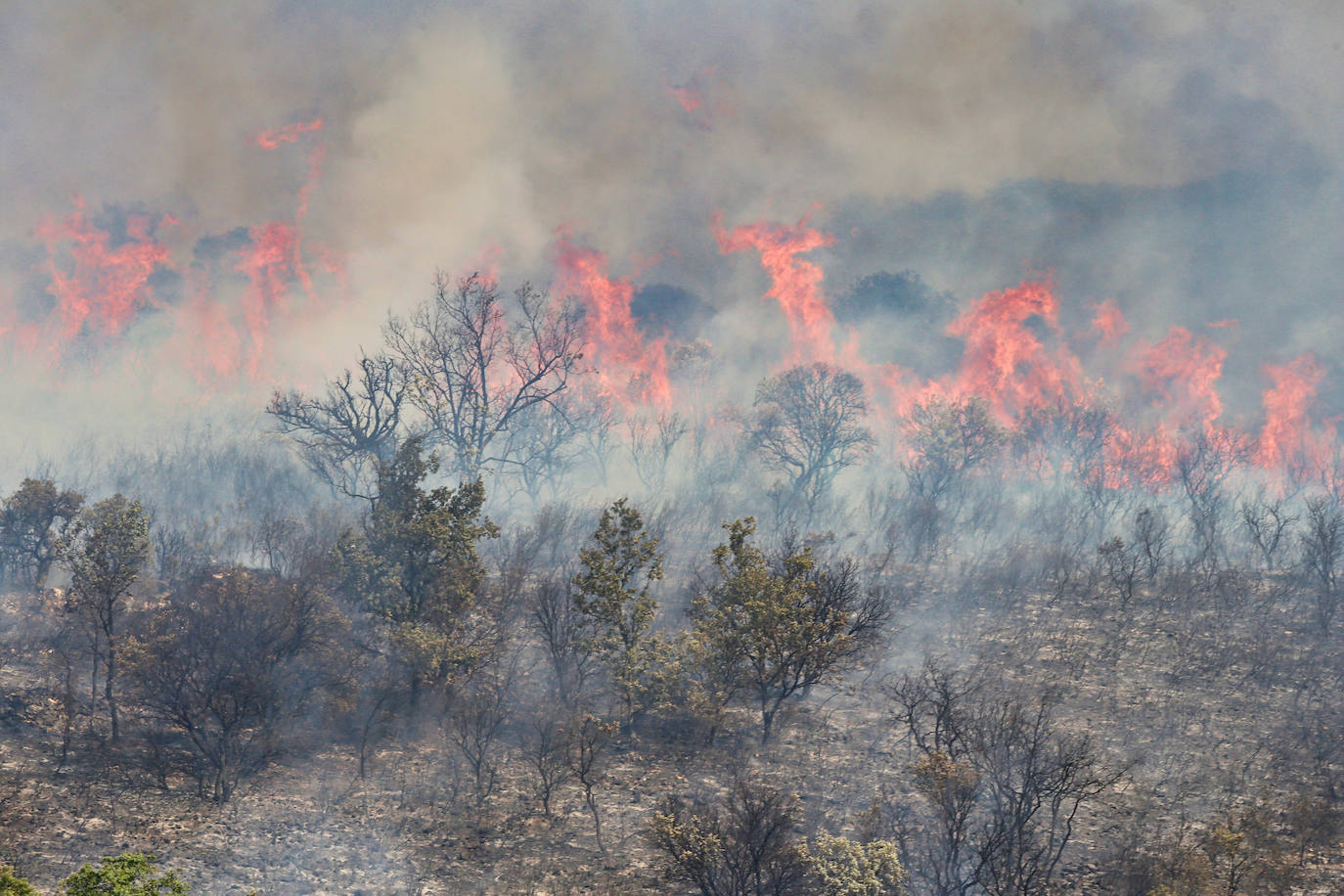 Incendio en la provincia de Zamora