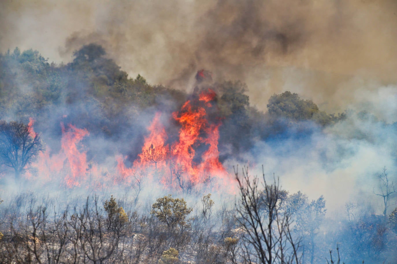 Incendio en la provincia de Zamora