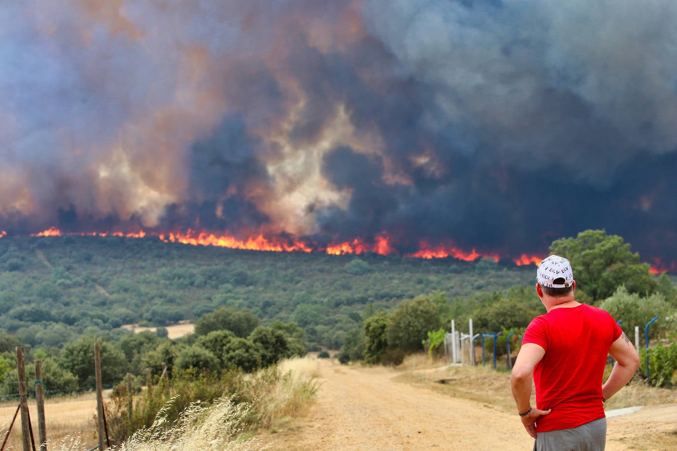 Incendio en la provincia de Zamora