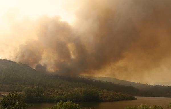 Incendio en el municipio de Puente Domingo Flórez. 