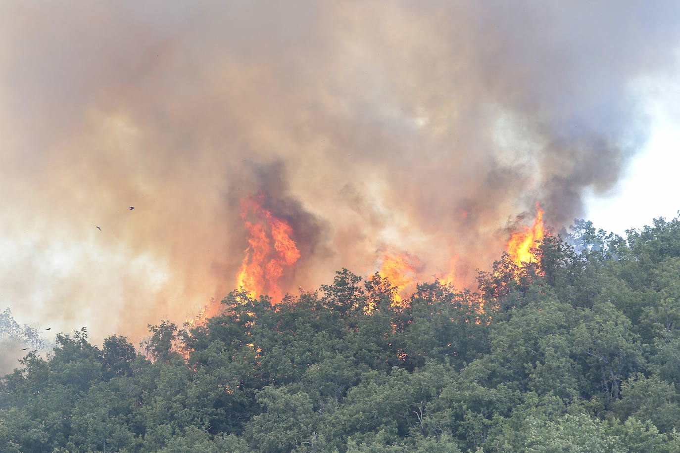 Incendio en el barrio de la Estación de Matallana de Torío